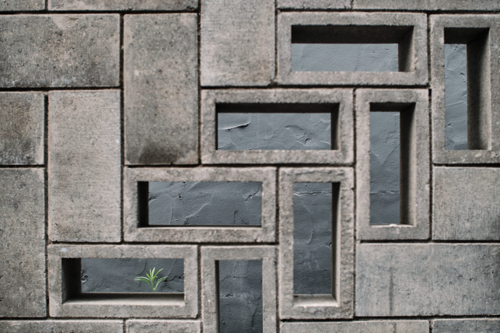 Laowa Argus 25mm F/0.95 CF APO