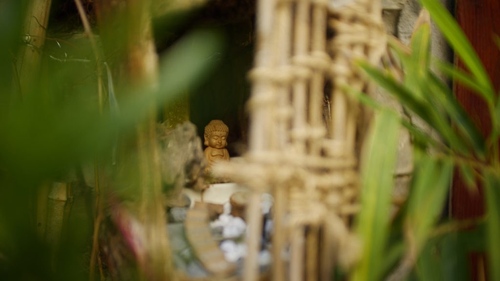 Laowa Argus 18mm f/0.95 MFT APO