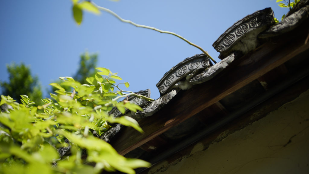 Laowa Argus 18mm f/0.95 MFT APO