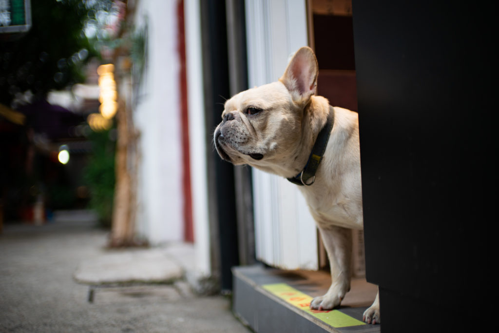 Laowa Argus 25mm F/0.95 CF APO